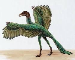 archeopteryx